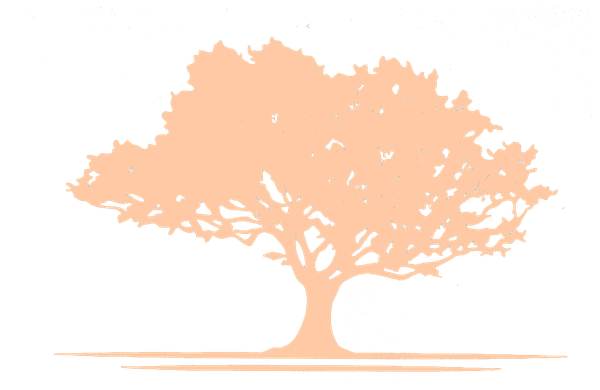 Maplewood Contractors LLC tree logo